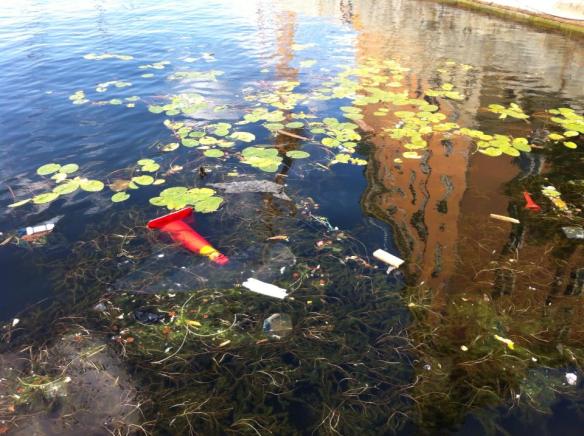 Photo courtesy of Cajsa L.