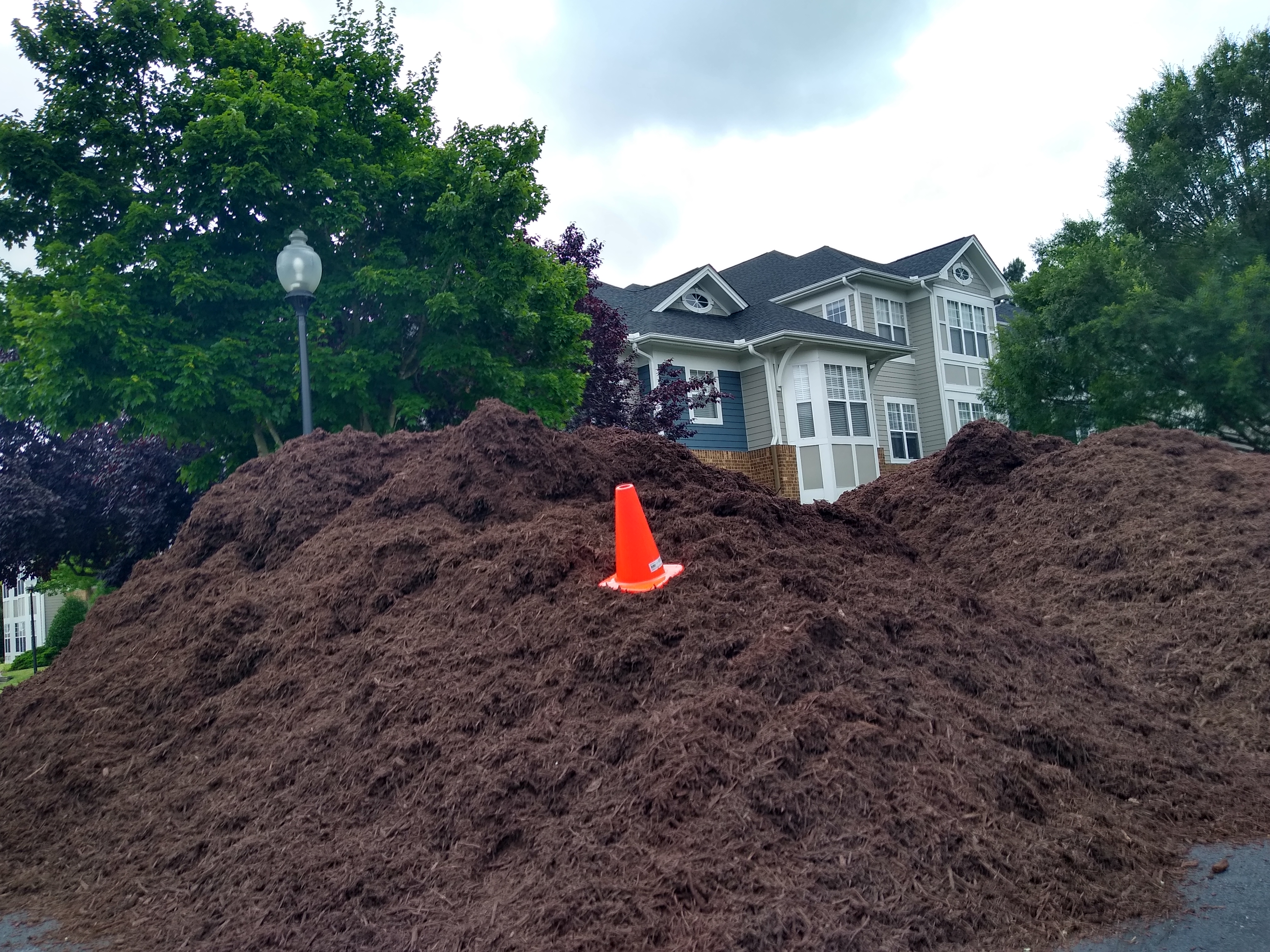 cone hill meadowmont 1