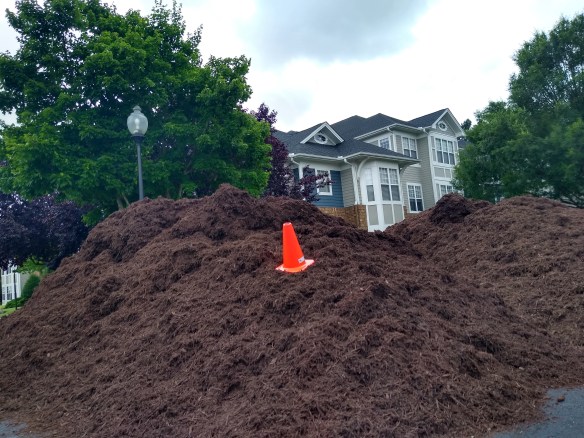 cone hill meadowmont 1