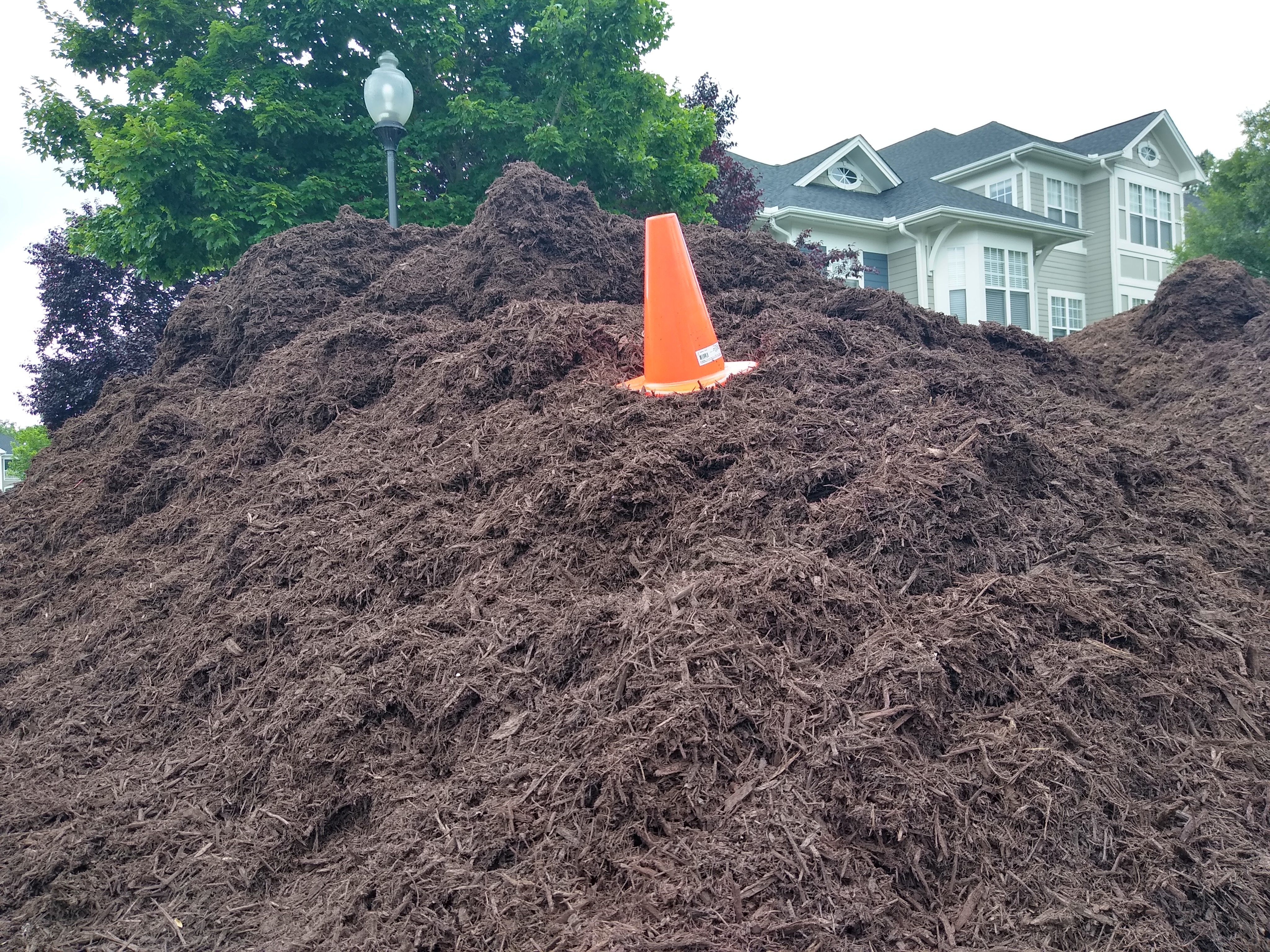 cone hill meadowmont 2