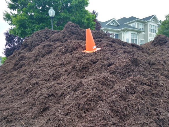 cone hill meadowmont 2