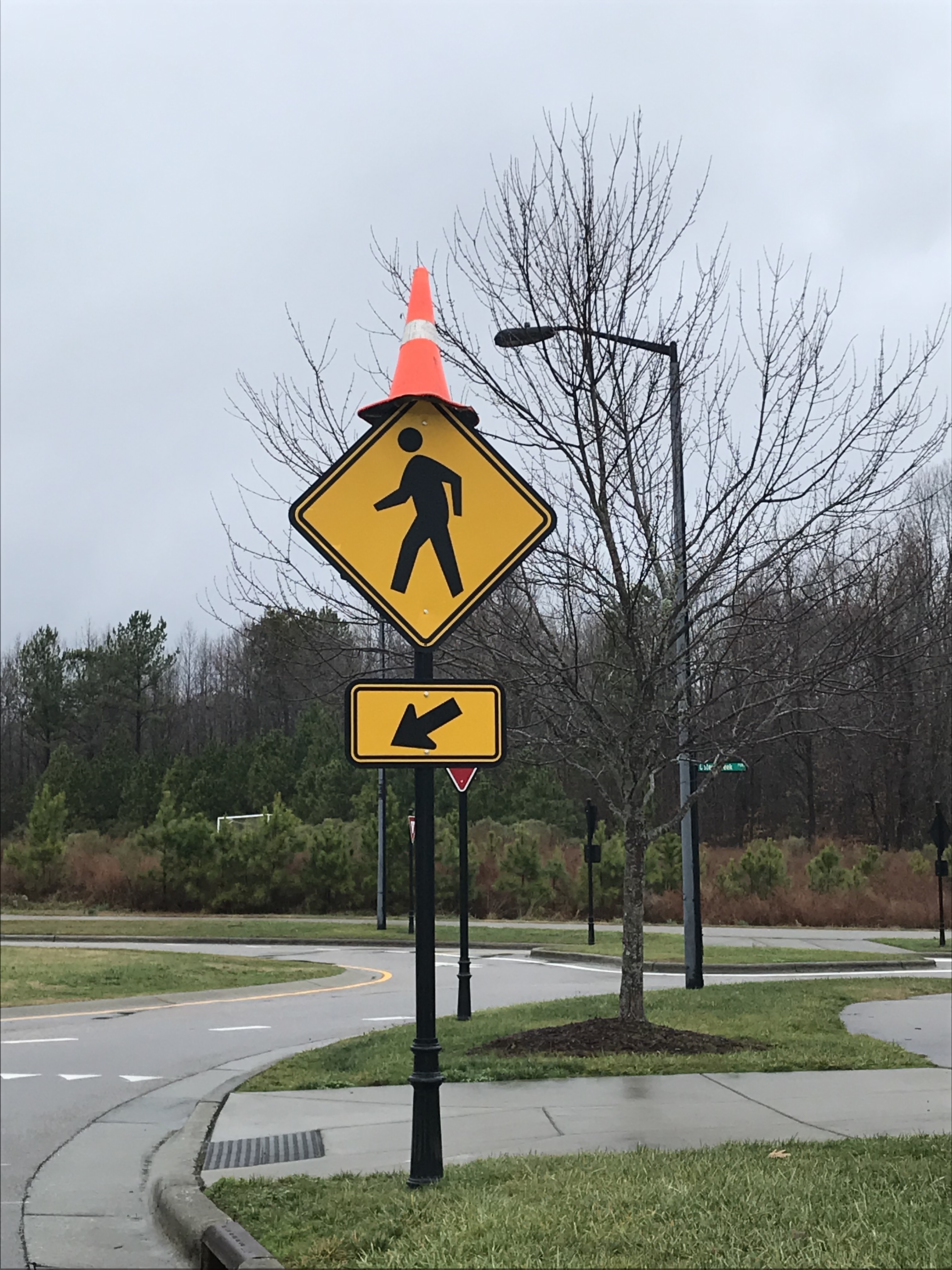 cone on sign 2