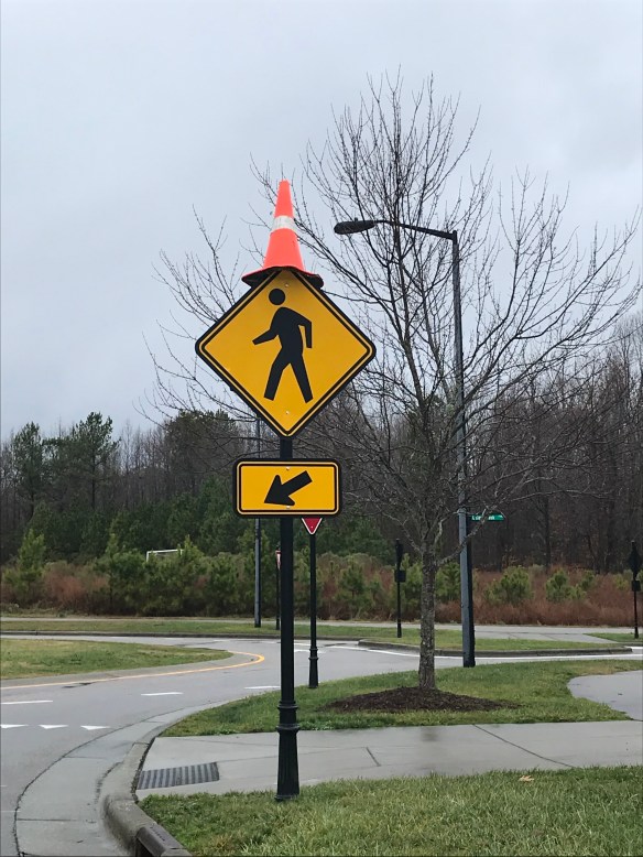 cone on sign 2